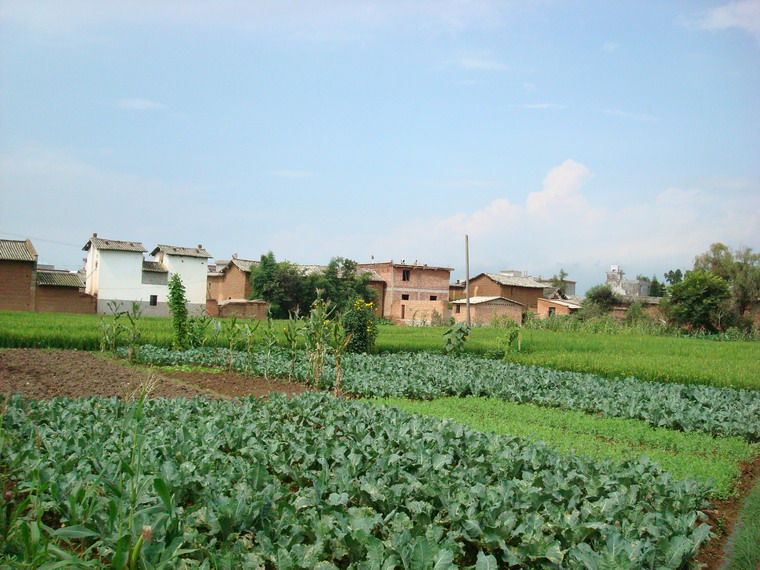 上大河村 上大河村