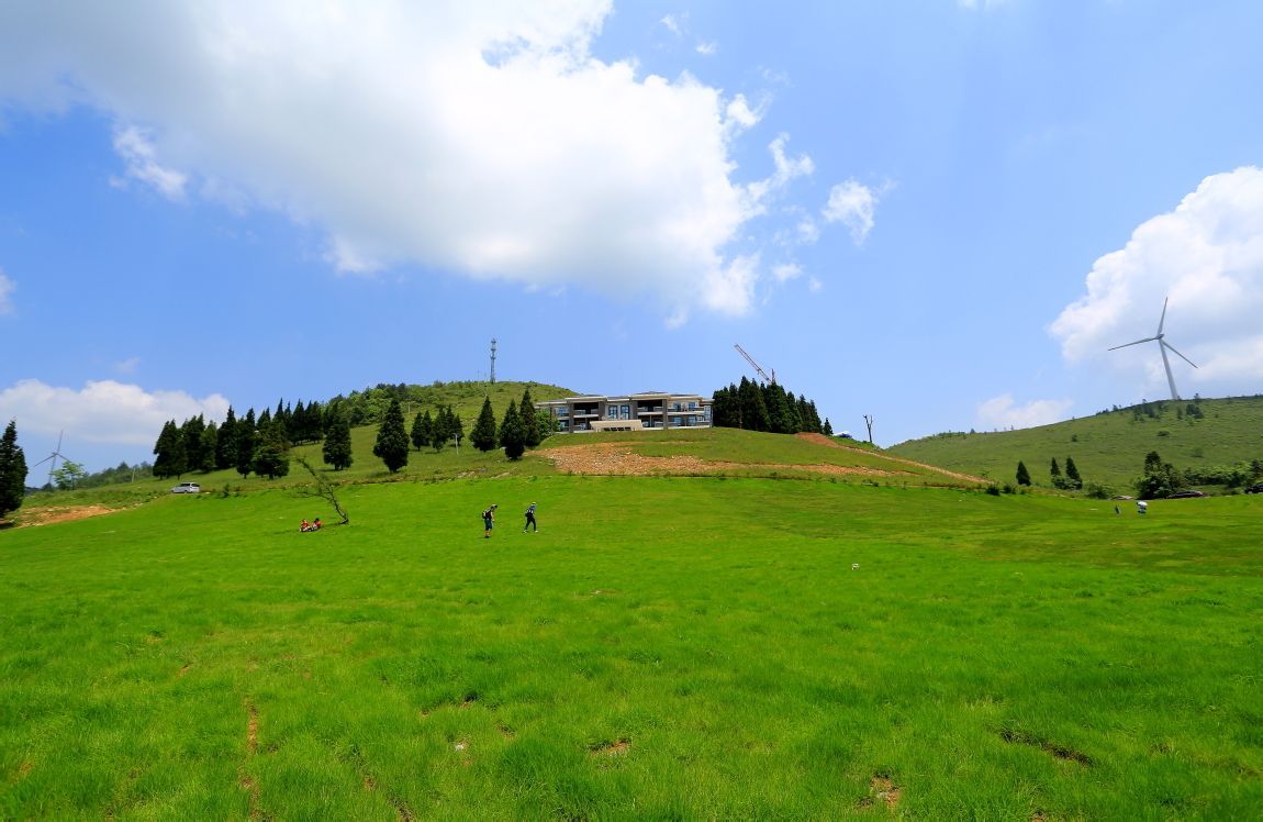岐山草场