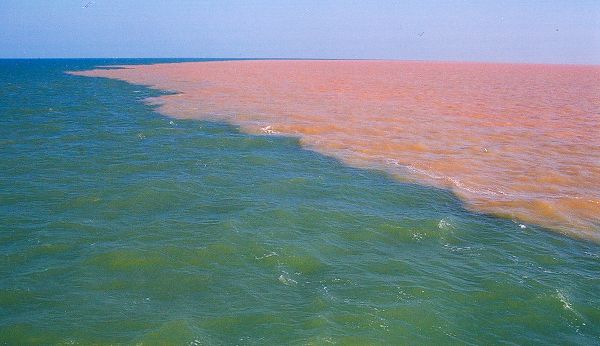 黄河入海张春利摄 黄河入海张春利摄