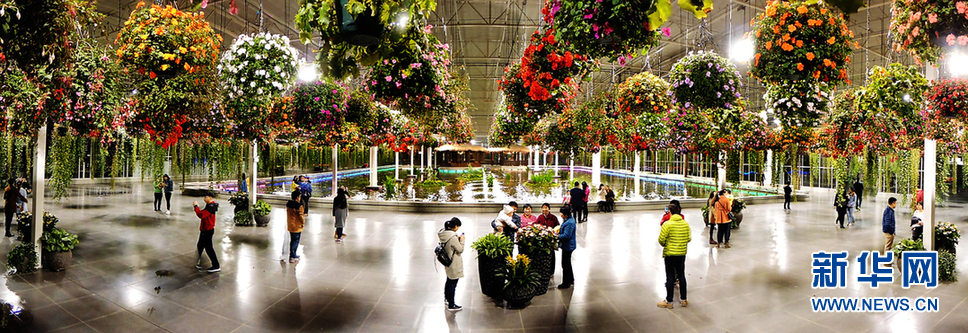 上海鲜花港 上海鲜花港