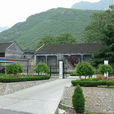 云台山镇