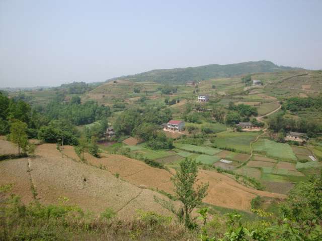 新华村