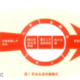 职业模式