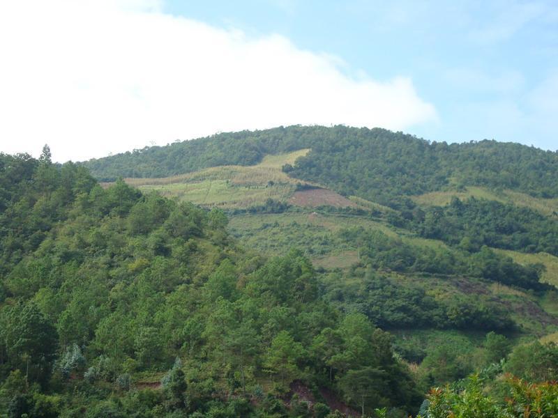 瓦金村(瓦金村民委员会)