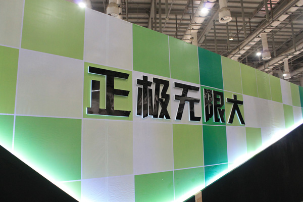 正极无限大 正极无限大