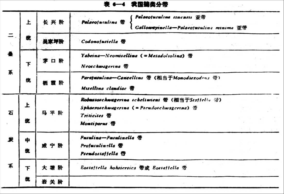 䗴类的生物地层分带 䗴类的生物地层分带