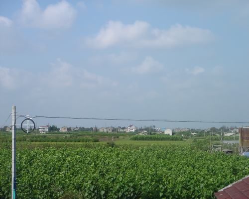 凤桥镇星火村 凤桥镇星火村