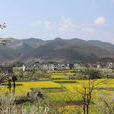 南庄村(山西省泽州县柳树口镇南庄村)