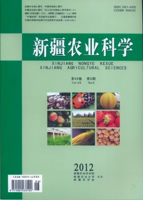 新疆农业科学 新疆农业科学