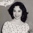 山东响马(1955年黄鹤声执导电影)