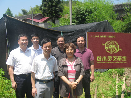 元生泰武夷山段木灵芝基地 元生泰武夷山段木灵芝基地