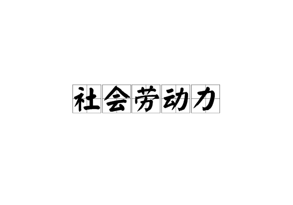社会劳动力