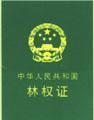 林权证 林权证